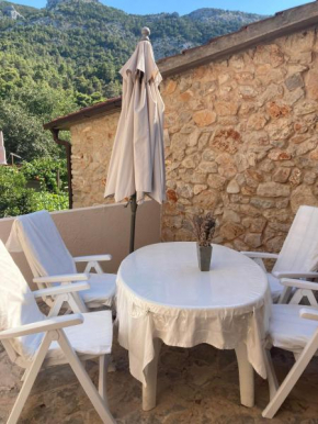 Apartman Kameni Zid
